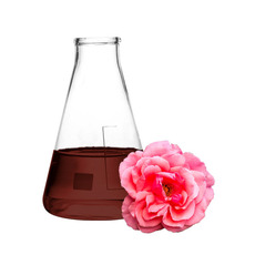 월계화 수용성 추출물(china rose liquid extract)