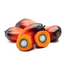 레드팜 오일(Red Palm Oil) 비정제 1kg