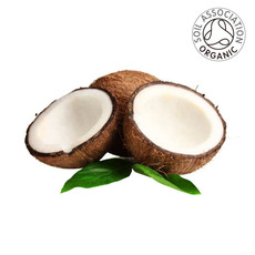 유기농 엑스트라버진 코코넛 오일(Organic Coconut Oil)