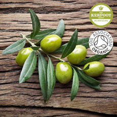 유기농 올리브 엑스트라 버진 오일(Organic Extra Virgin Olive Oil)