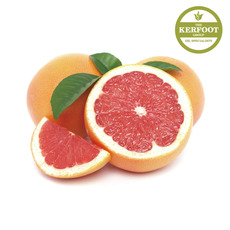 그레이프 프룻 에센셜 오일(Grapefruit E.O)