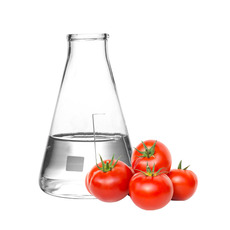 토마토추출물(tomato extract)